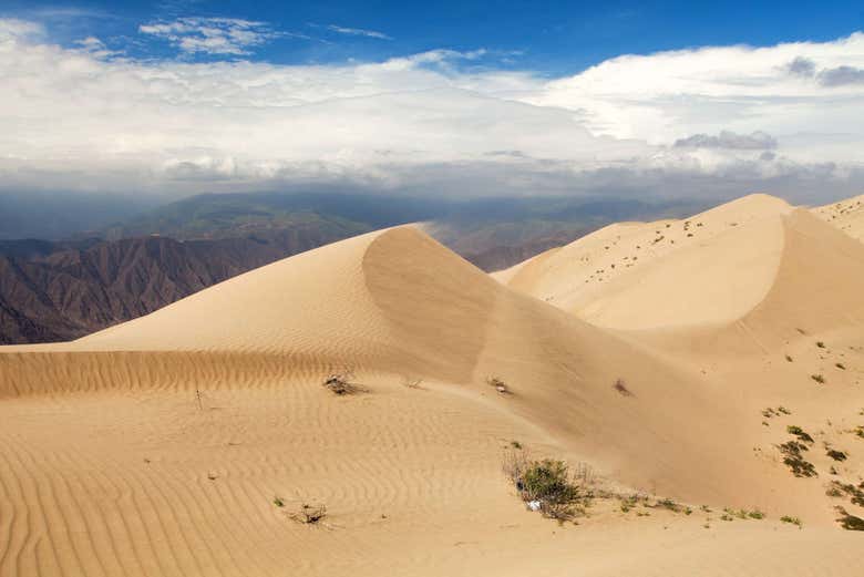 Paisaje de Cerro Blanco