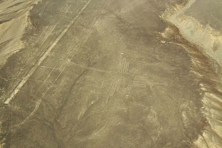 Geoglifo di un uccello