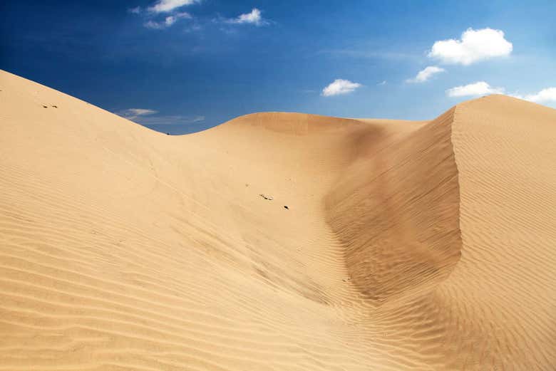 Deserto di Nazca