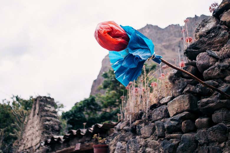 Conoceréis las nociones de composición y diseño