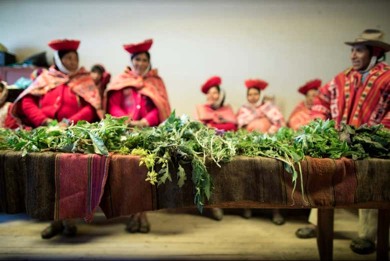 Tratamiento de las plantas en la comunidad indígena