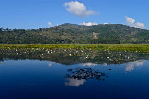 Excursión a Villa Rica