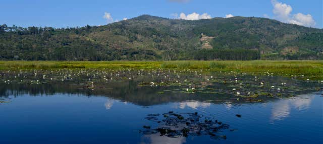 Excursión a Villa Rica