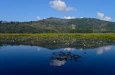 Excursión a Villa Rica