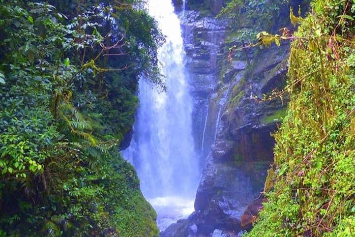 Tigre River Waterfall