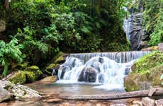 Excursão à catarata Río Tigre