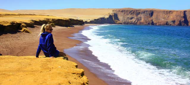 Excursión privada desde Paracas