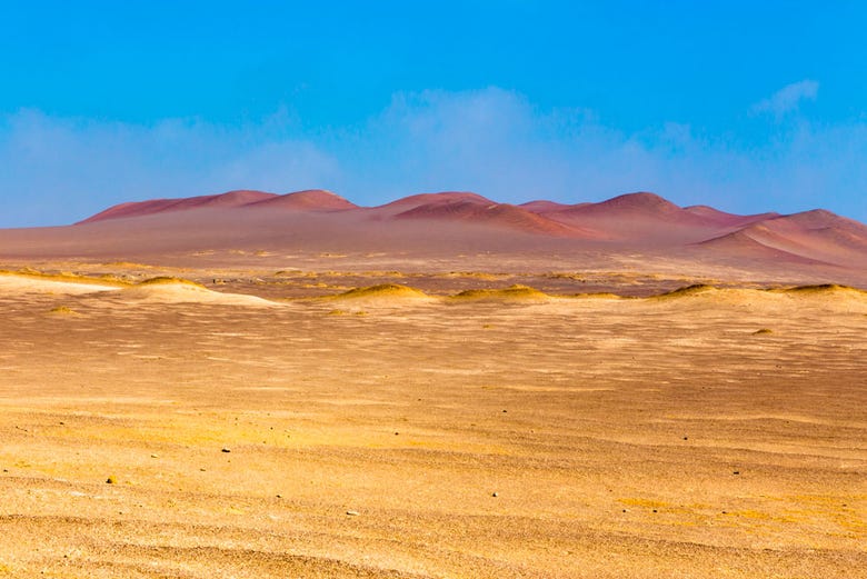 Desierto de Paracas