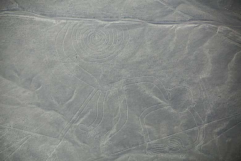 Lines in the figure of a monkey