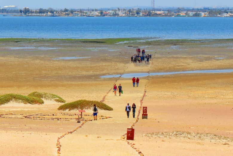 Recorriendo la Reserva de Paracas
