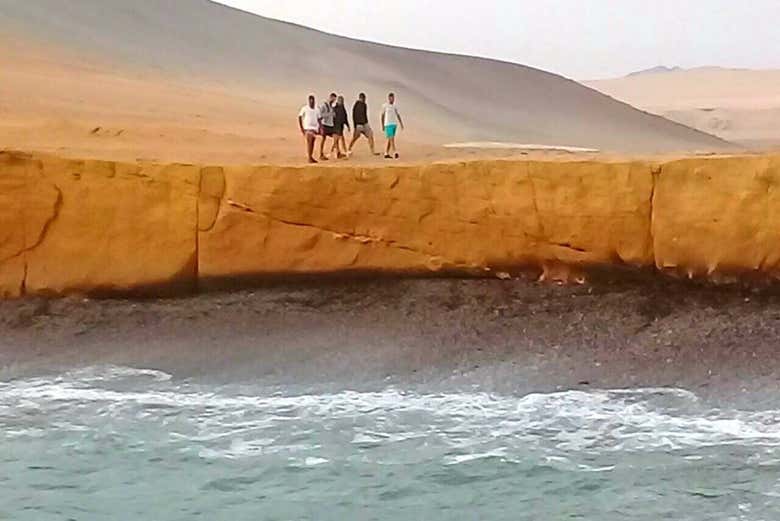Ruta por la  Reserva Nacional de Paracas