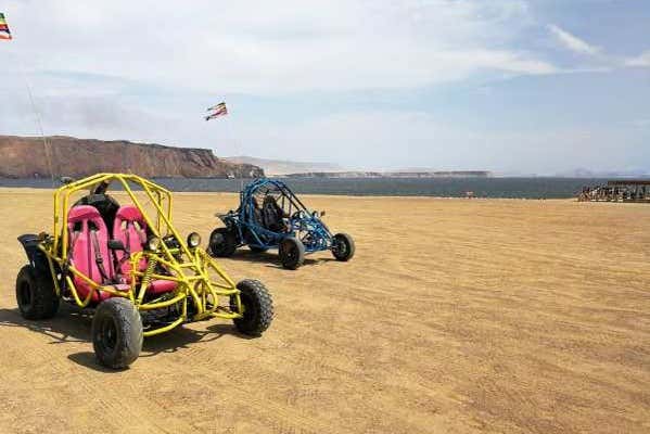 Tour en buggy por la Reserva Nacional de Paracas