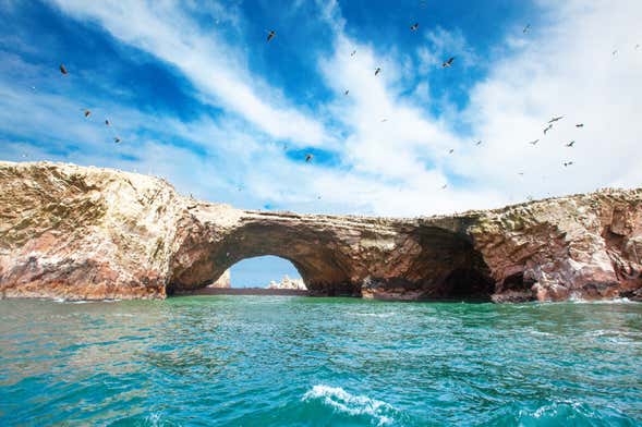 Ilhas Ballestas + Reserva Nacional de Paracas