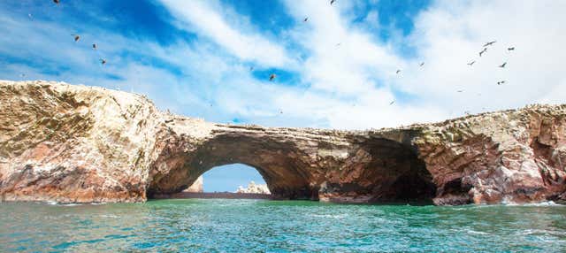 Excursión a las islas Ballestas
