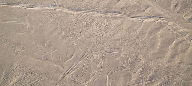 Vuelo sobre las Líneas de Nazca desde el aeródromo de Nazca