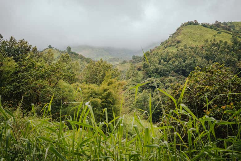 Getting to know the "Switzerland of Peru"