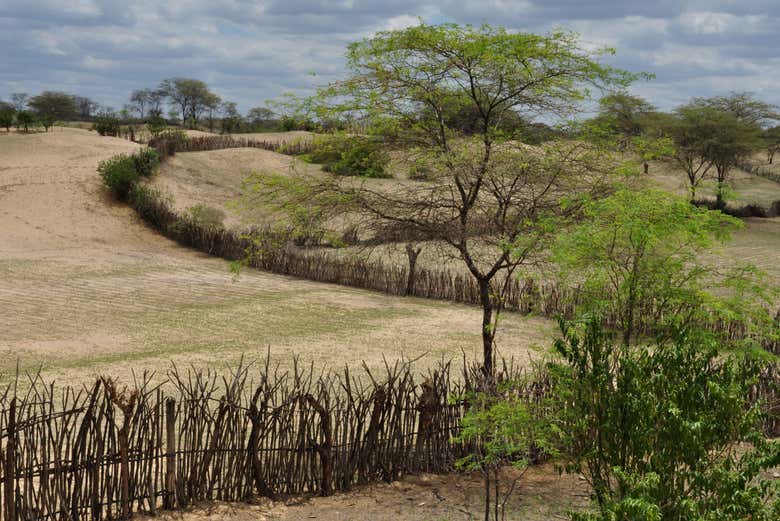 Campos de los alrededores de Chulucanas