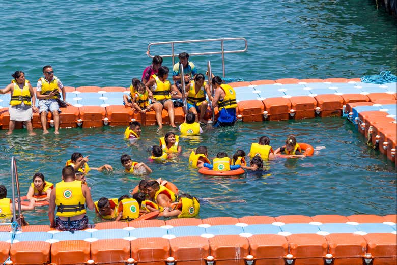 ¡Listos para nadar con las tortugas!