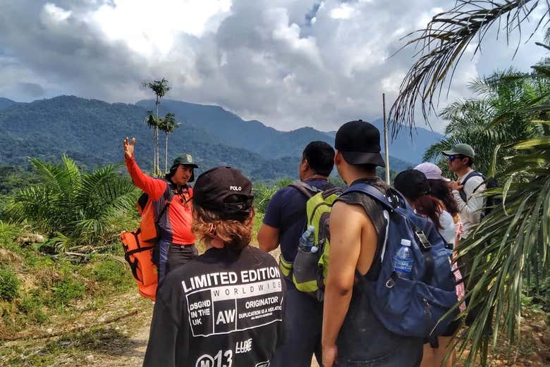 Explore the Peruvian jungle