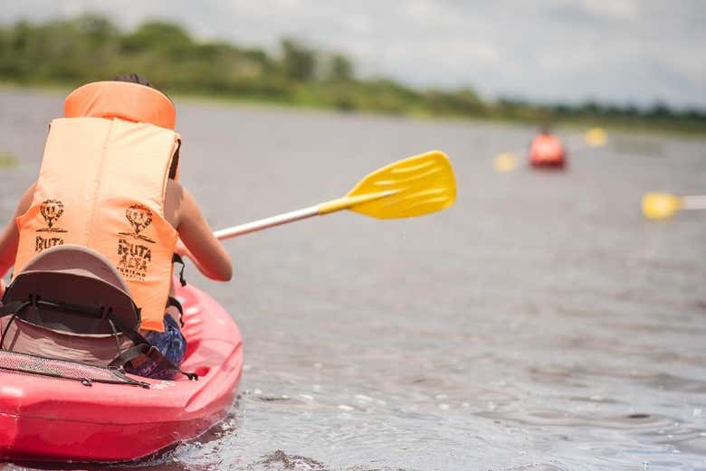 Ruta por la laguna Cashibococha