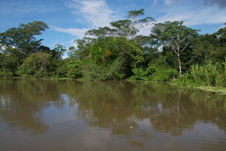 Laguna Yarinacocha