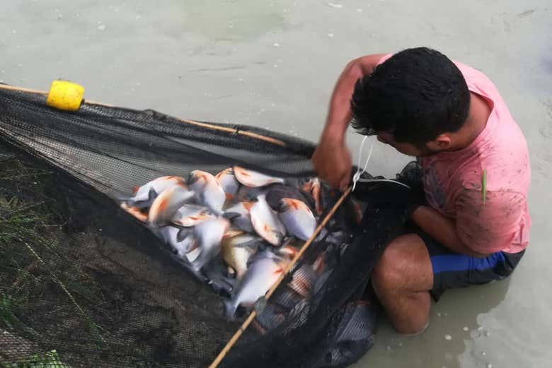 Visitando una piscigranja local