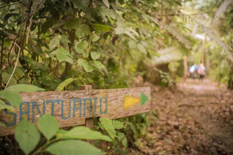 Rumbo a los santuarios de la selva peruana