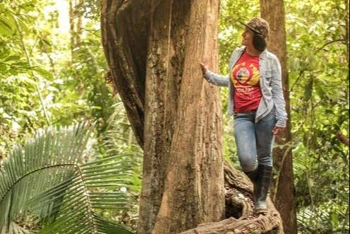 Contemplando la naturaleza