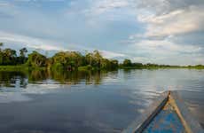Visite du Parc Naturel de Pucallpa et du Musée Régional