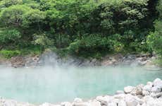 Excursion sur la rivière Mayantuyacu