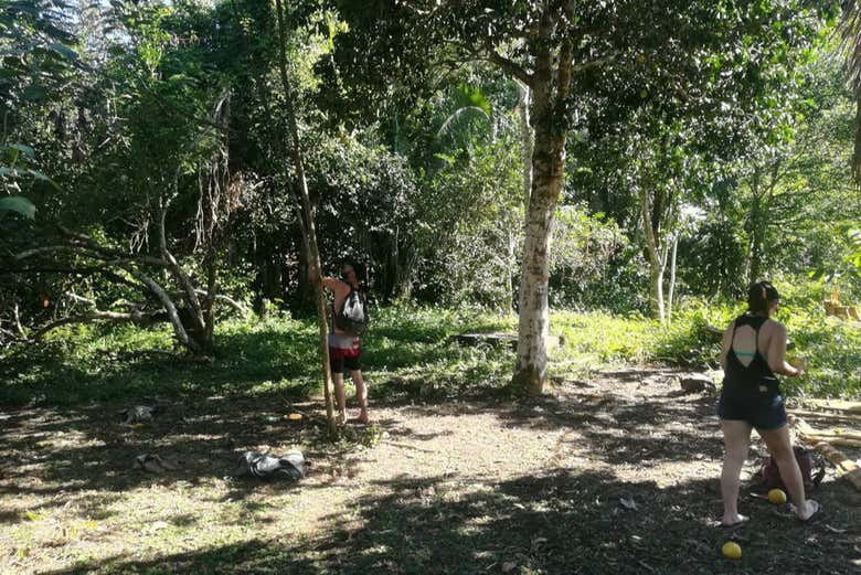 Trilha pela Quebrada Pintuyacu