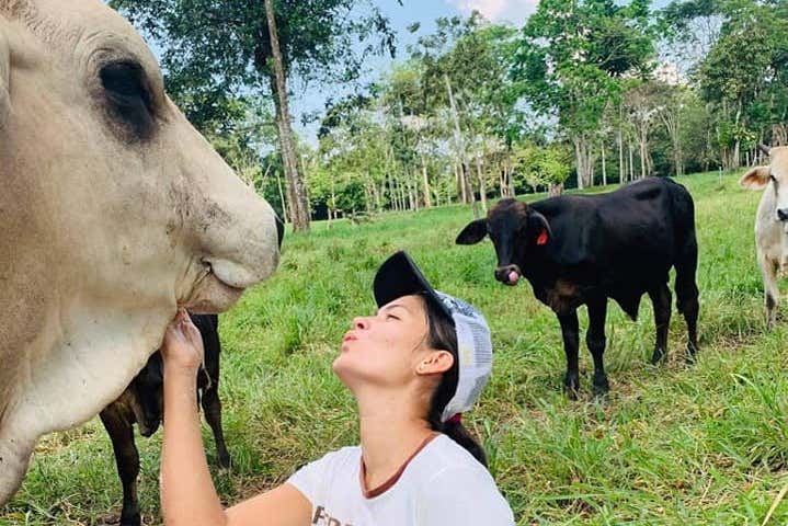 Fazendo amizade com as vacas