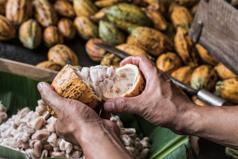 Extrayendo los granos