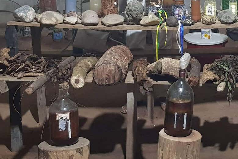 Plantas medicinais usadas durante o ritual