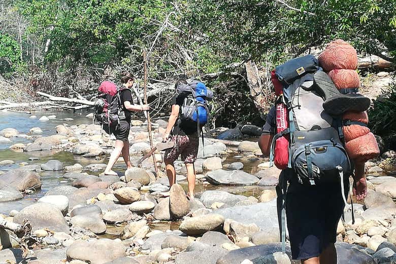 Hiking in the Amazon rainforest