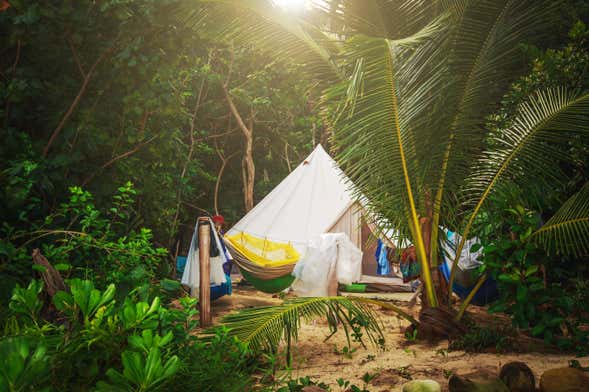 Amazon Rainforest Hiking & Camping