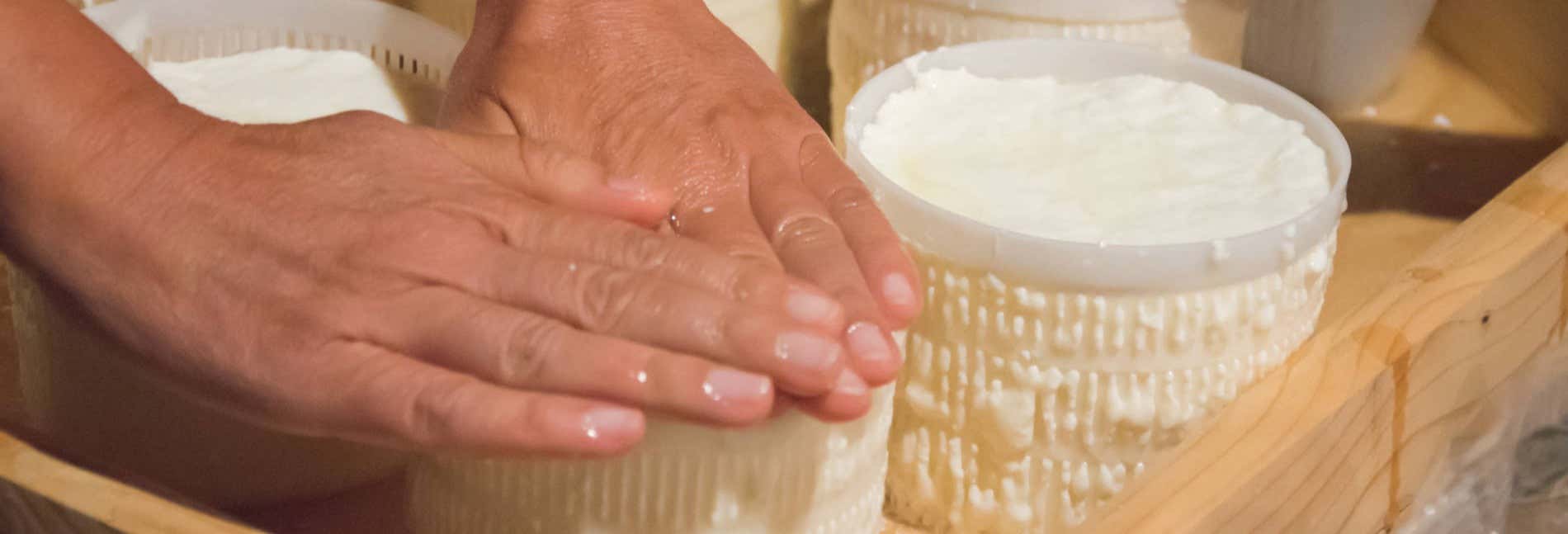 Gastronomía y enoturismo en Puerto Inca