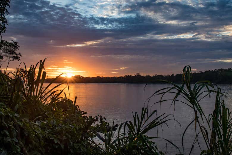 Atardecer sobre la selva amazónica