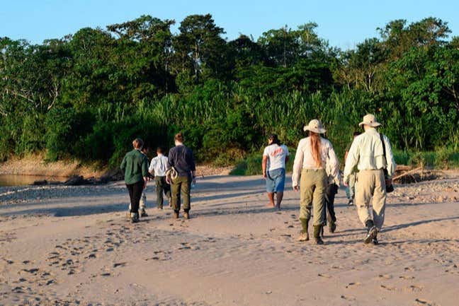 Senderismo por la selva amazónica