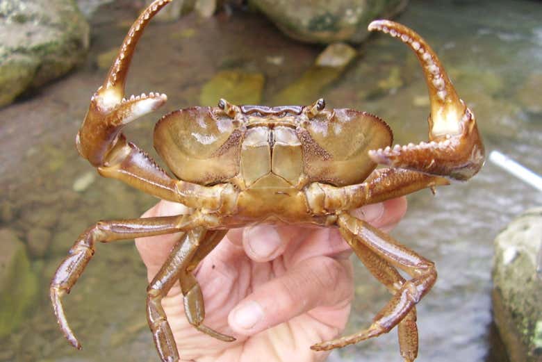 Check out different aquatic creatures