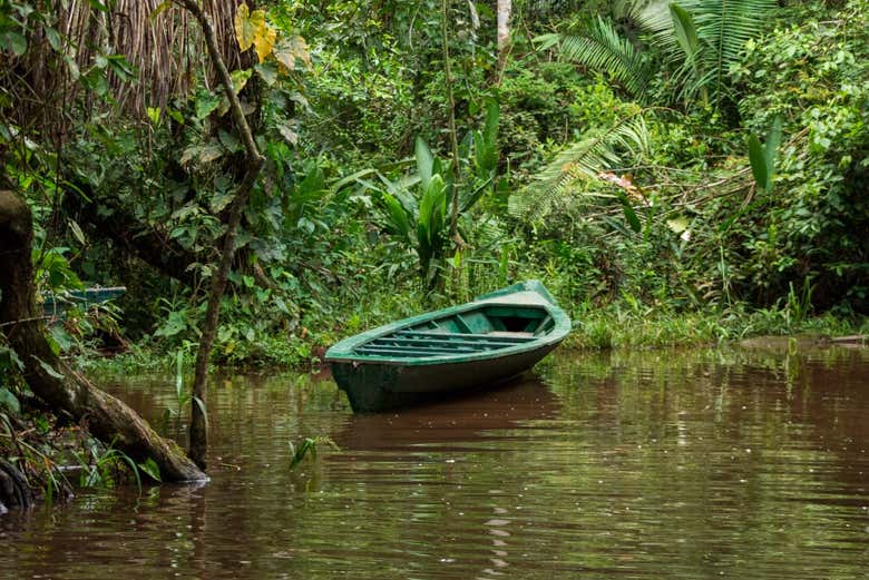 Typical canoe in the Tambopata Nature Reserve