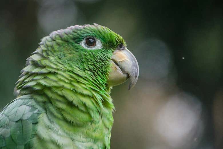 Make the most of your visit to Peru!