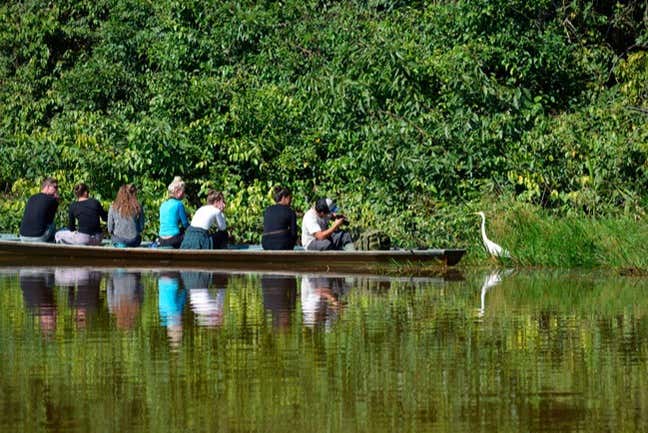 Observación de aves