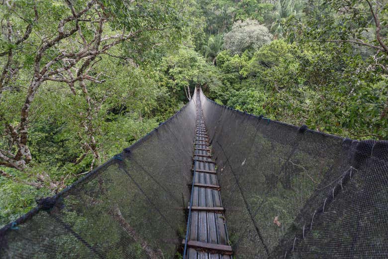 Puentes colgantes