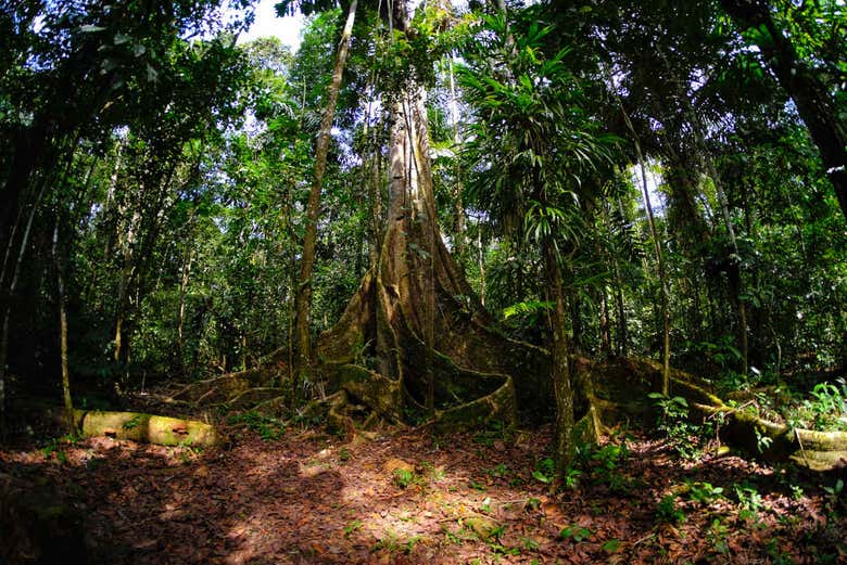 Paisajes de la reserva