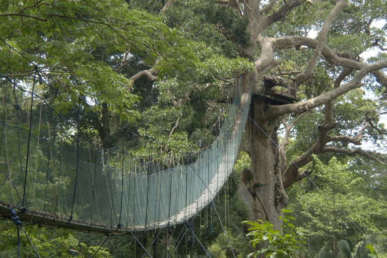 Circuito de puentes colgantes