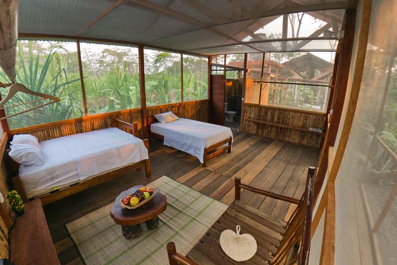 Chambre avec vue sur la jungle