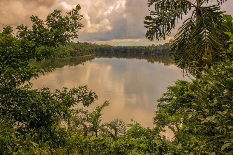 Views over Lake Sandoval