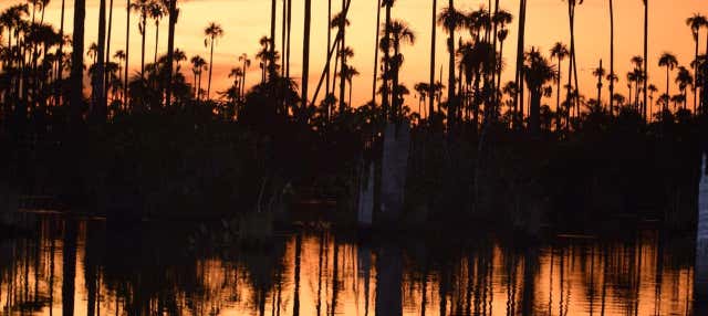 Piranha Fishing and Bird Watching Tour