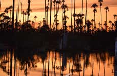 Pêche de piranhas et observation d'oiseaux